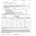 Rabies Vaccine Certificate Template