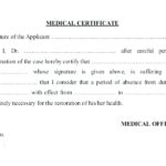 Rabies Vaccine Certificate Template