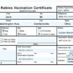 Rabies Vaccine Certificate Template