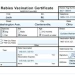 Rabies Vaccine Certificate Template