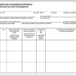 Rabies Vaccine Certificate Template