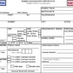 Rabies Vaccine Certificate Template