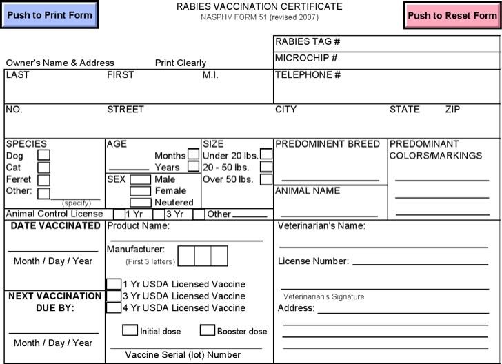 Rabies Vaccine Certificate Template (9) TEMPLATES EXAMPLE TEMPLATES