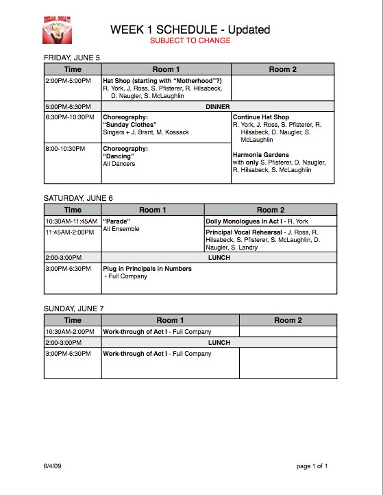 Rehearsal Report Template