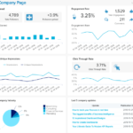 Social Media Report Template