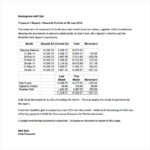 Treasurer Report Template