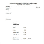 Treasurer Report Template