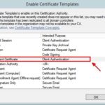 Workstation Authentication Certificate Template