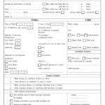 Baby Death Certificate Template