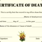 Baby Death Certificate Template