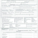 Baby Death Certificate Template