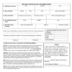 Baby Death Certificate Template