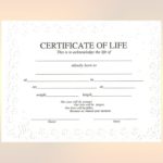 Baby Death Certificate Template