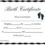Baby Doll Birth Certificate Template