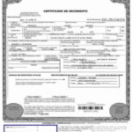 Birth Certificate Translation Template English To Spanish