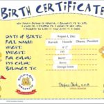 Build A Bear Birth Certificate Template