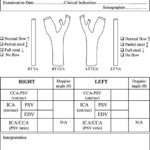 Carotid Ultrasound Report Template