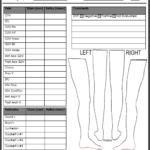 Carotid Ultrasound Report Template