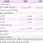 Carotid Ultrasound Report Template