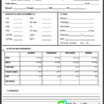 Carotid Ultrasound Report Template