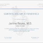 Certificate Of Attendance Conference Template