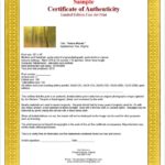 Certificate Of Authenticity Photography Template