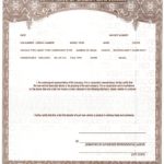 Certificate Of Origin For A Vehicle Template