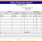 Daily Activity Report Template