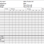 Daily Activity Report Template