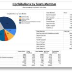 Daily Project Status Report Template