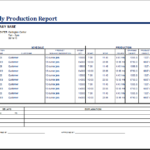 Daily Project Status Report Template