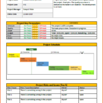 Daily Project Status Report Template