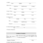 Death Certificate Translation Template