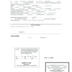 Death Certificate Translation Template