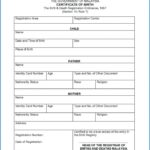 Death Certificate Translation Template