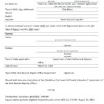 Death Certificate Translation Template