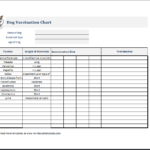 Dog Vaccination Certificate Template