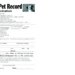 Dog Vaccination Certificate Template