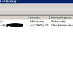 Domain Controller Certificate Template