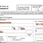 Donation Report Template