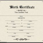 Editable Birth Certificate Template