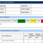 Executive Summary Project Status Report Template