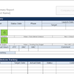 Executive Summary Project Status Report Template