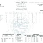 Fake College Report Card Template