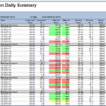 Fleet Management Report Template