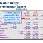 Flexible Budget Performance Report Template