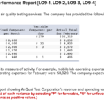 Flexible Budget Performance Report Template