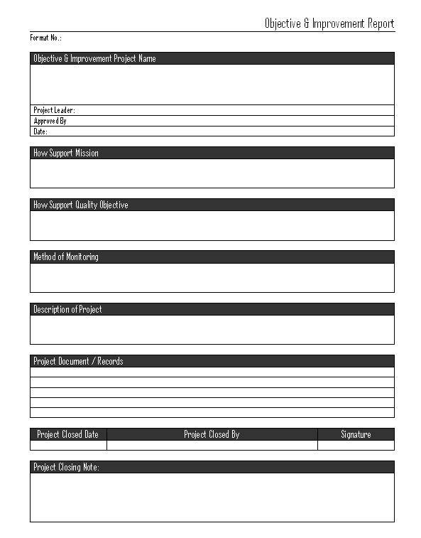 Improvement Report Template