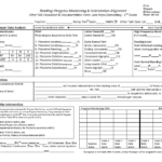 Intervention Report Template