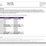 It Support Report Template